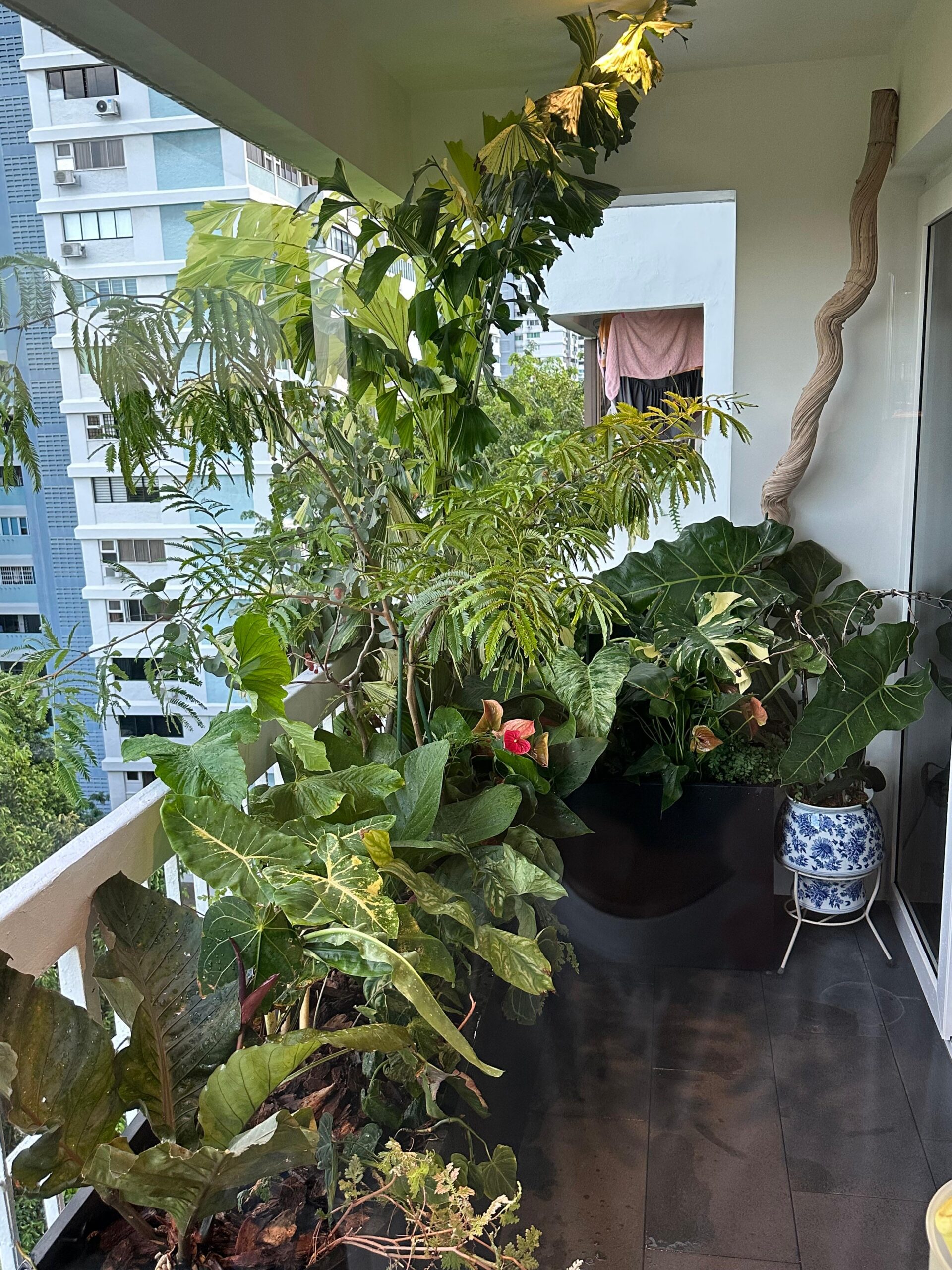 Balcony Garden 2