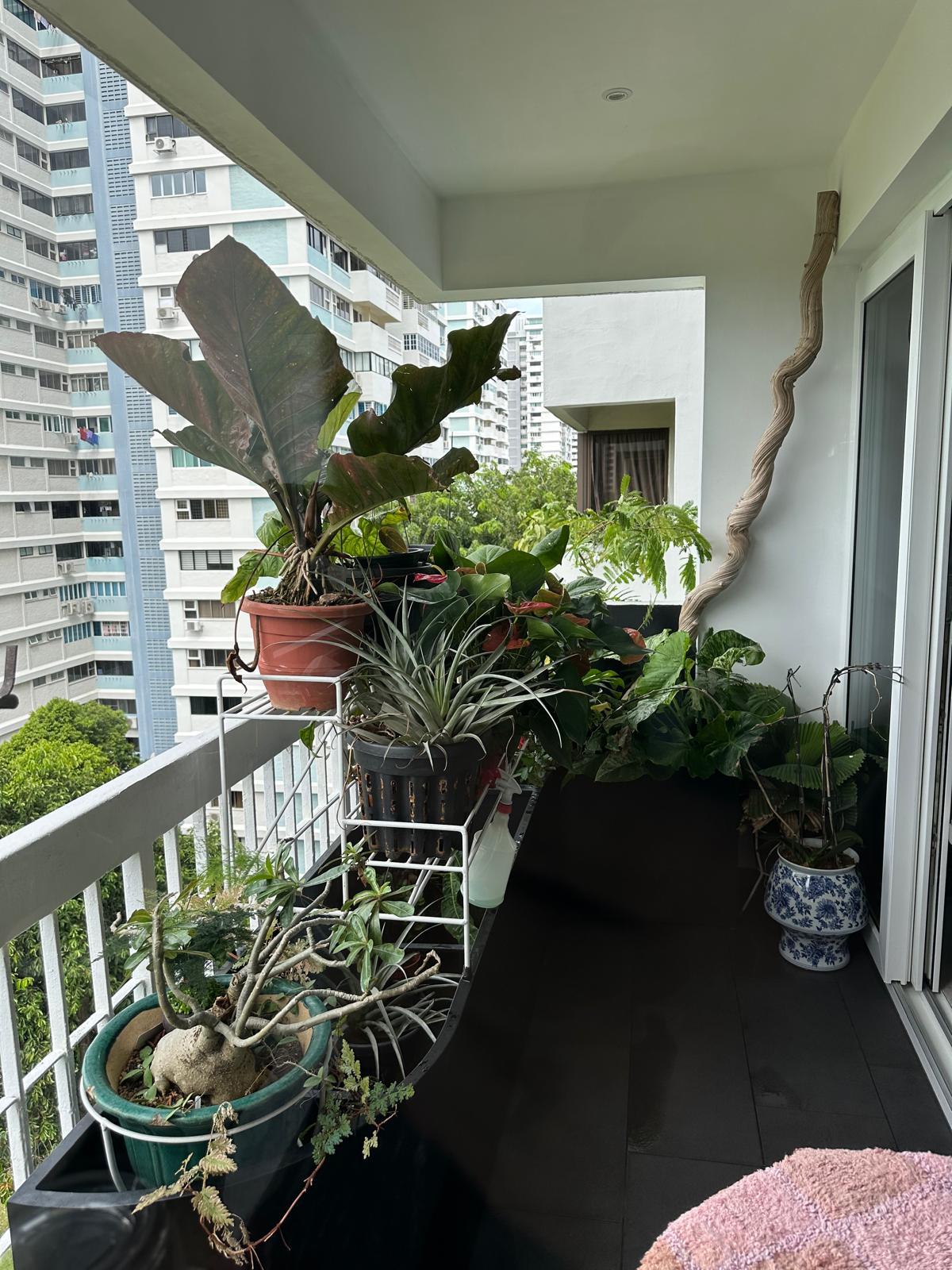 Balcony Garden 1